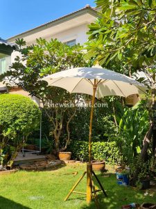 เช่าร่มเชียงใหม่