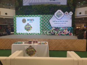 เช่าชุดโซฟาสีขาว - Image 3