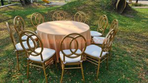 เช่าก้าอี้ชิวารี โรสโกลด์ พนักลม