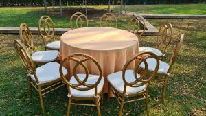 เช่าก้าอี้ชิวารี โรสโกลด์ พนักลม