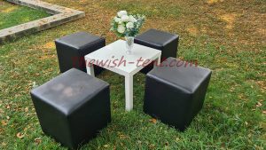 ให้เช่าเก้าอี้-ลูกเต๋าสีดำ