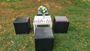 เช่าเก้าอี้-ลูกเต๋าสีดำ - Image 4