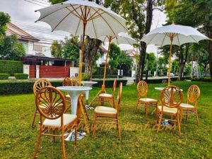 เช่าชุดปิดการขาย-เก้าอี้ชิวารี ควีนส์ - Image 4